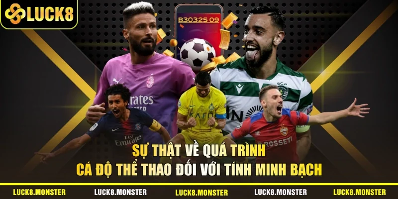Sự thật về quá trình cá độ thể thao đối với tính minh bạch