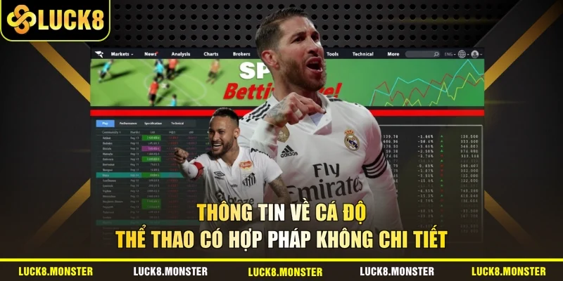 Thông tin về cá độ thể thao có hợp pháp không chi tiết